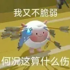 王朝特纳和3J怎么选