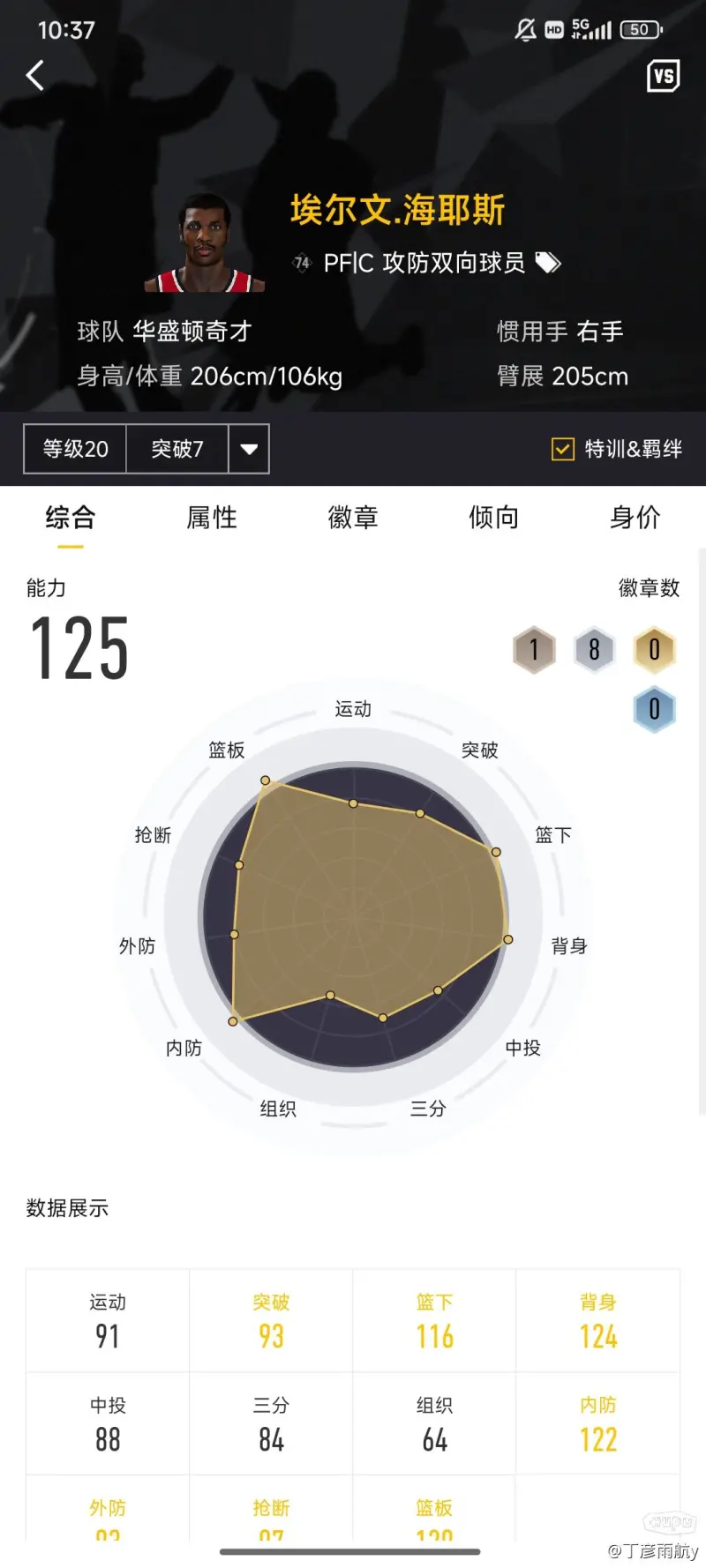 借个奇才海耶斯